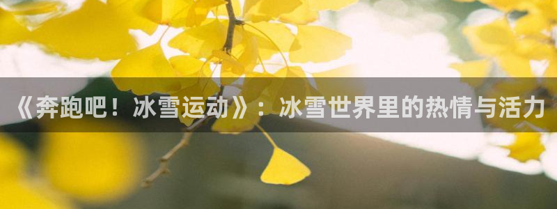 球王会体育