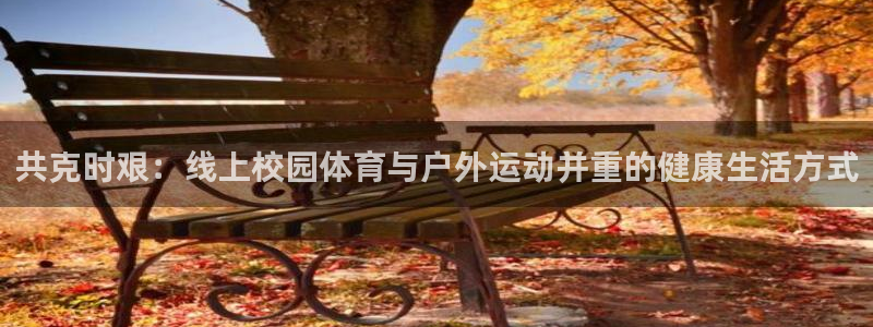 球王会体育