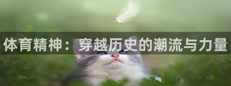 球王会体育