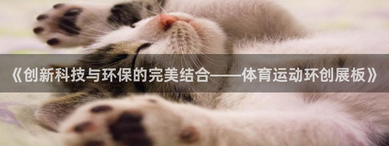 球王会体育