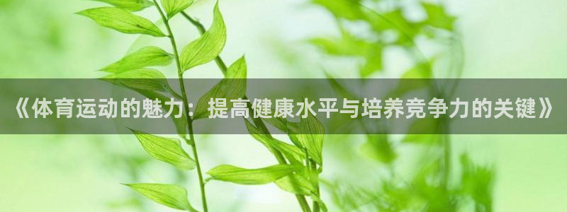 球王会体育
