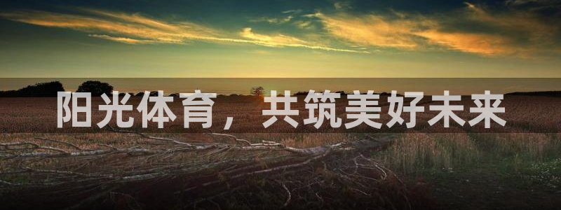 球王会体育