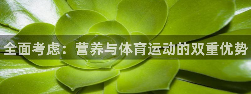 球王会体育