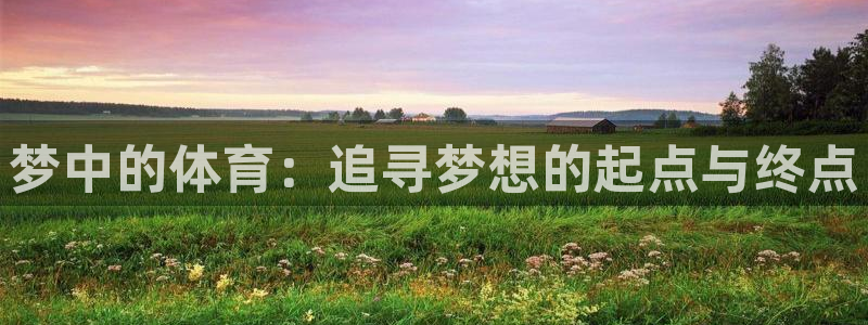 球王会体育