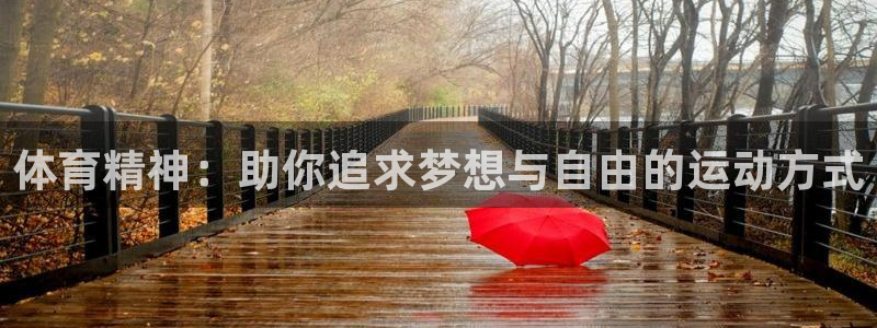 球王会体育