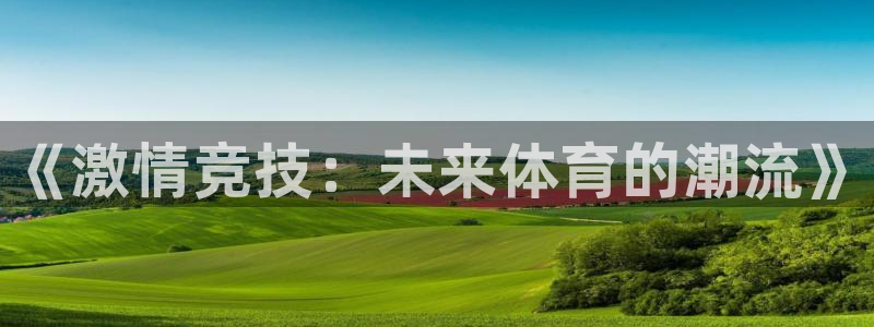 球王会体育