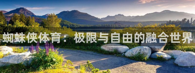 球王会体育