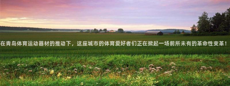 球王会体育