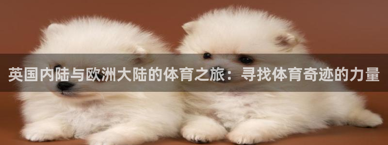 球王会体育